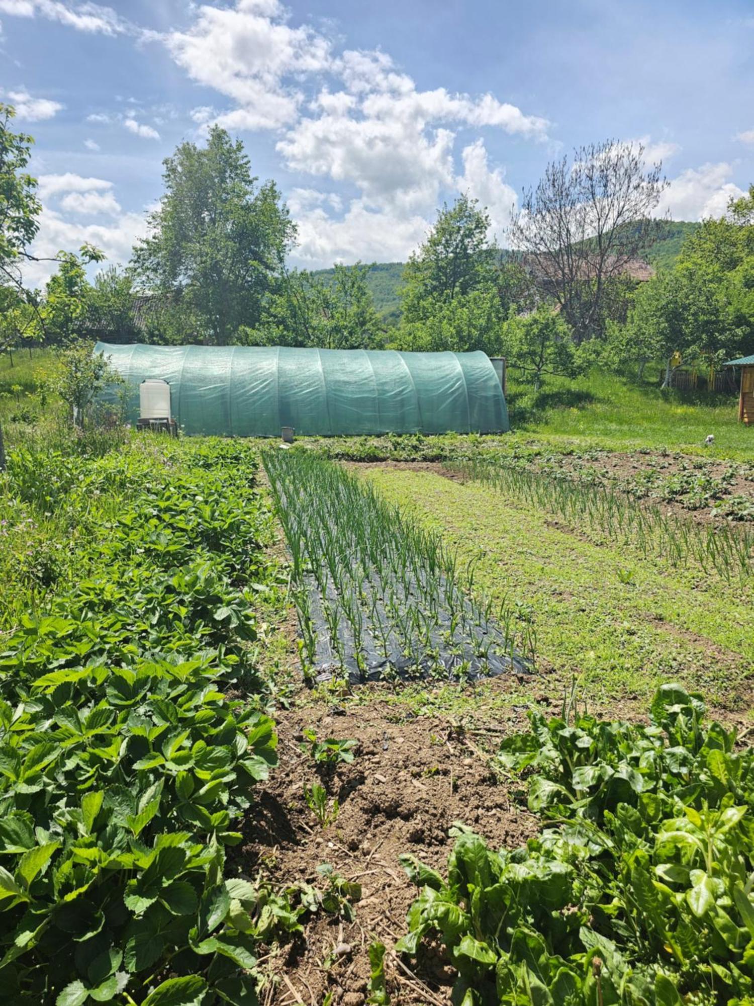 Konaci Oceva Zemlja Bungalovi Konaci Oceva Zemlja Vikendica Mojkovac Buitenkant foto