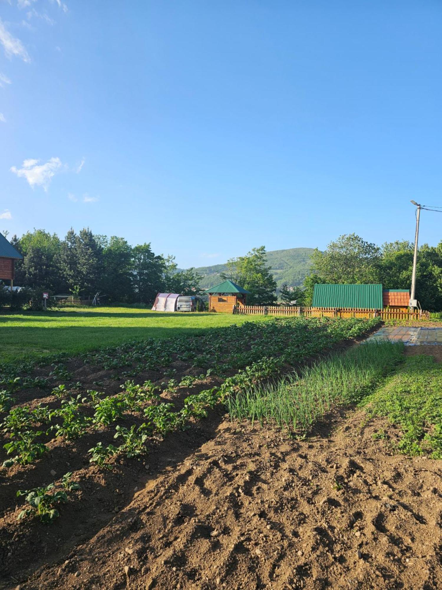 Konaci Oceva Zemlja Bungalovi Konaci Oceva Zemlja Vikendica Mojkovac Buitenkant foto