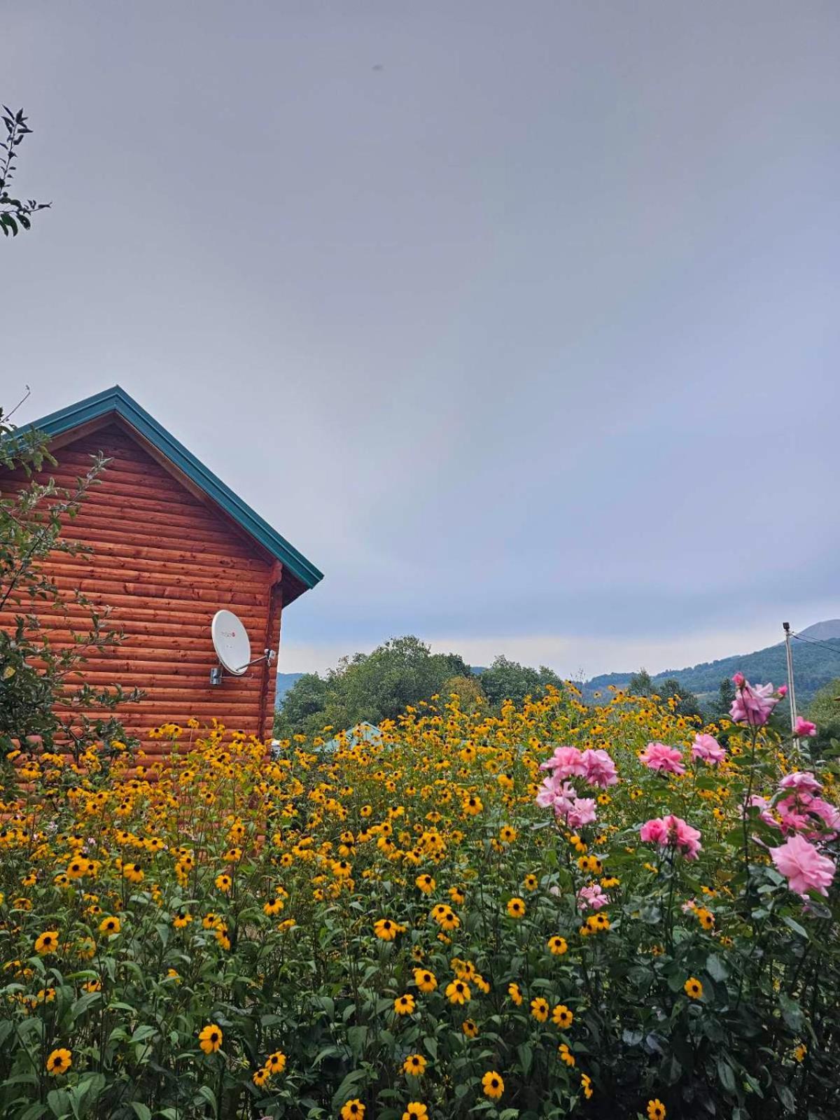 Konaci Oceva Zemlja Bungalovi Konaci Oceva Zemlja Vikendica Mojkovac Buitenkant foto