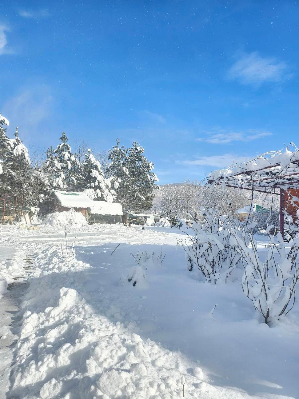 Konaci Oceva Zemlja Bungalovi Konaci Oceva Zemlja Vikendica Mojkovac Buitenkant foto