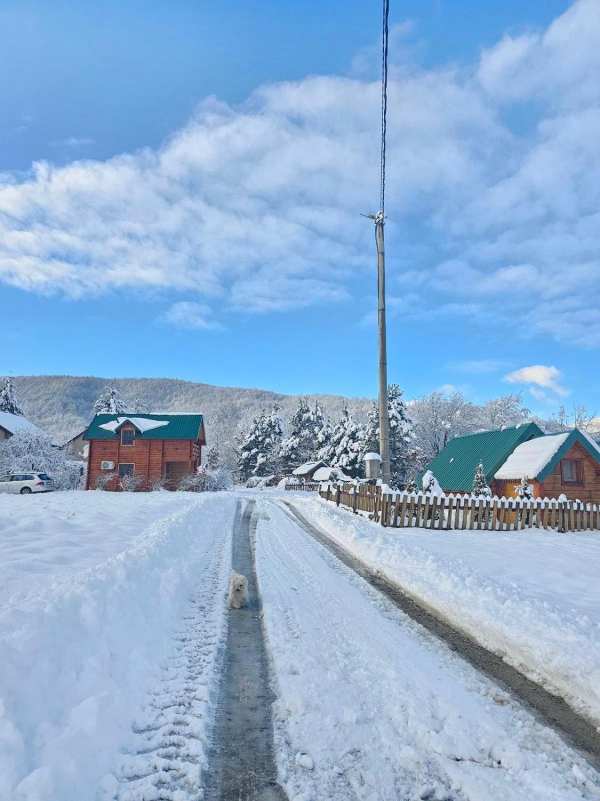 Konaci Oceva Zemlja Bungalovi Konaci Oceva Zemlja Vikendica Mojkovac Buitenkant foto