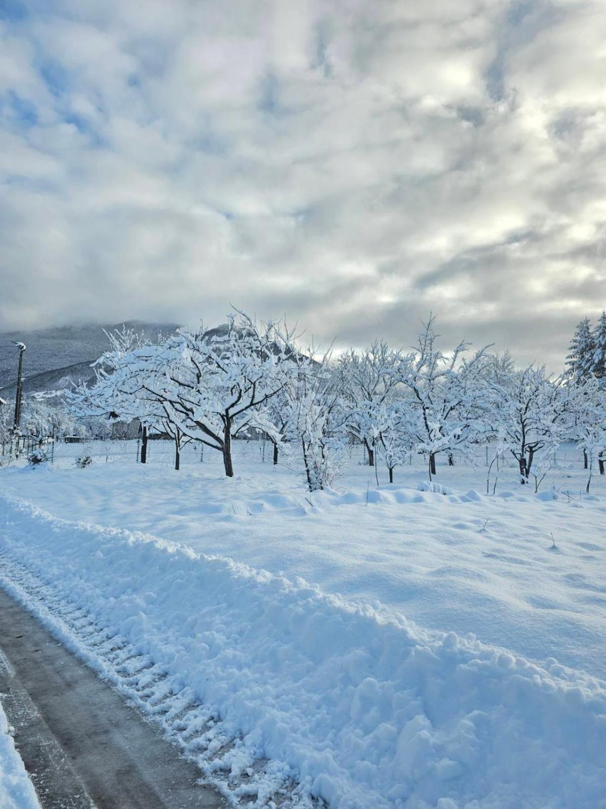 Konaci Oceva Zemlja Bungalovi Konaci Oceva Zemlja Vikendica Mojkovac Buitenkant foto
